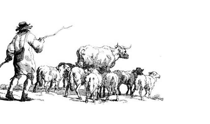 Calf Market Norwich Market