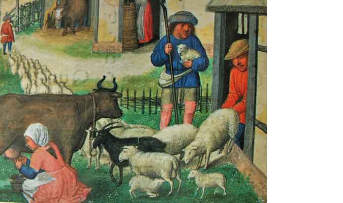 sheep Market Norwich Market