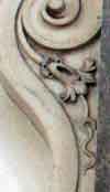 stamin protruding from centre of rose