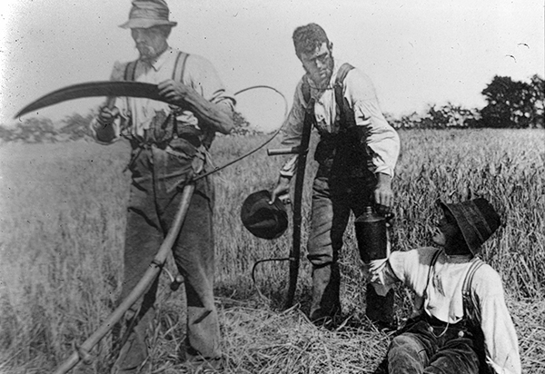 Farmers with scythes