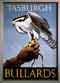 Bird in Hand Tasburgh c1963 